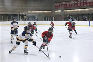 Lets check your understanding of Hockey sport.