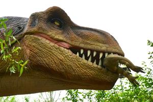 A Quiz on Prehistoric Palates